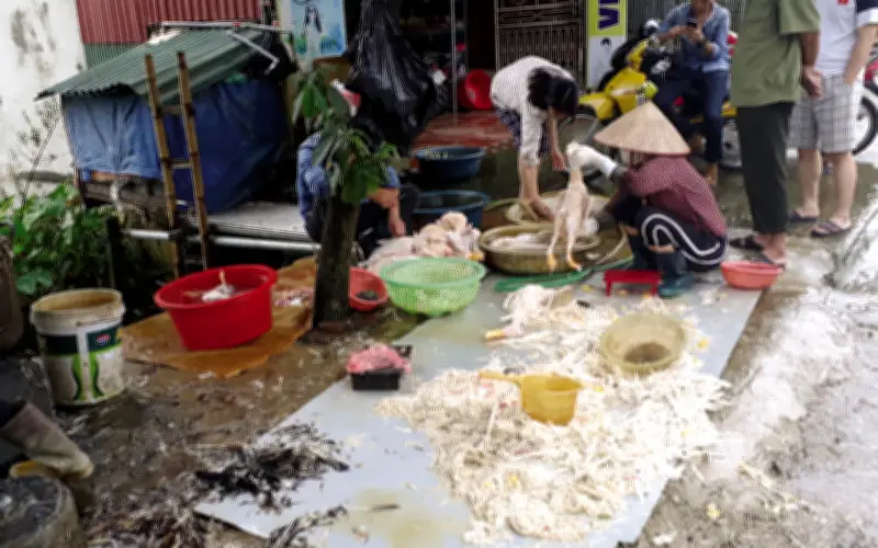 Hà Nội tăng cường kiểm soát giết mổ, phân rõ trách nhiệm xã phường