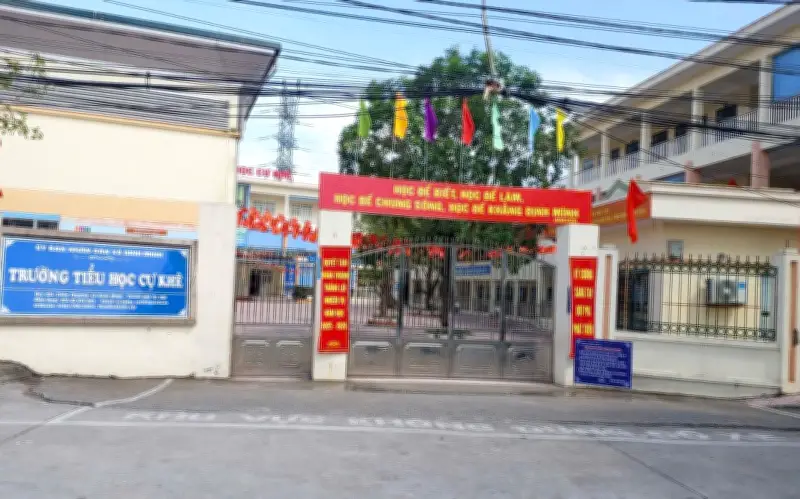 Hà Nội yêu cầu trường học công khai nguồn gốc thực phẩm sau vụ lợn nhiễm dịch tả