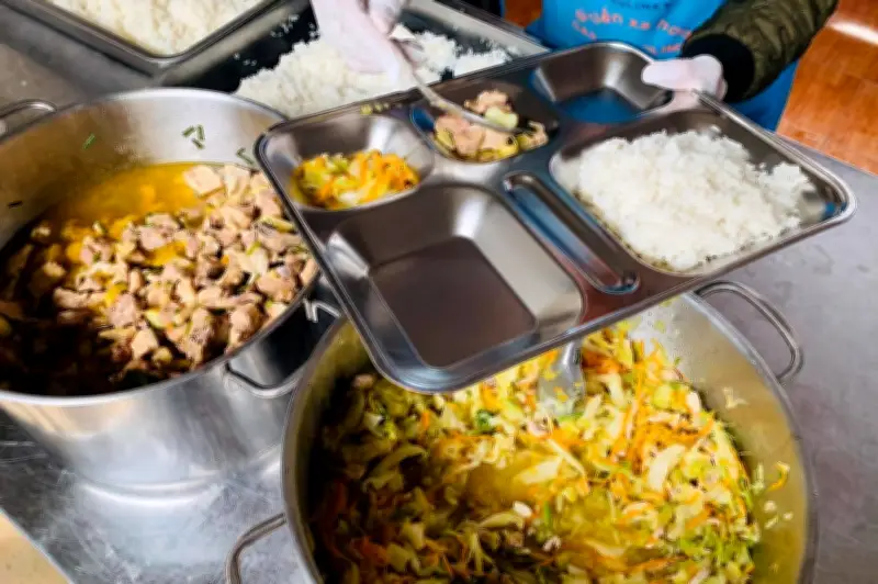 Hồ sơ công ty mua lợn của Cường Phát bán cho 26 trường công lập được công khai