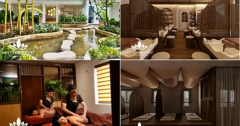 Hạ Spa Tân Bình: Không Gian Riêng Tư Và Dịch Vụ Massage Chuyên Sâu Đáng Trải Nghiệm