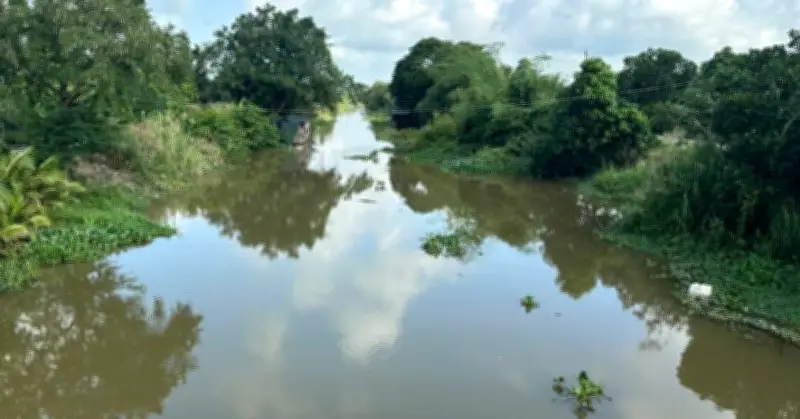 Hai trẻ nhỏ chơi với rồi bị nước nhận chìm mất tích trên sông
