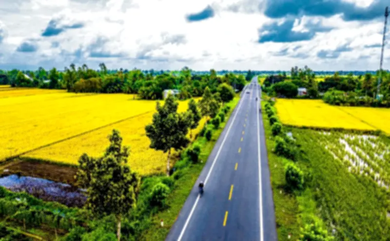 Hải Phòng khởi động mô hình lúa phát thải thấp, hướng tới chuyển đổi xanh toàn diện