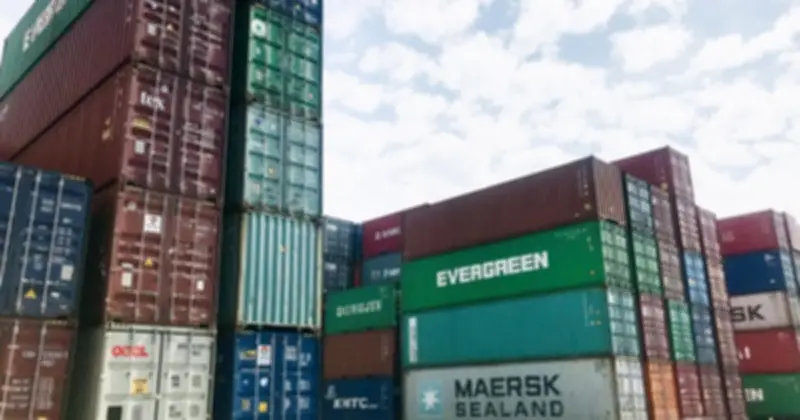 Hải Quan Thông Báo Bảo Trì Hệ Thống Thông Quan Tự Động VNACCS/VCIS Trong Tháng 4