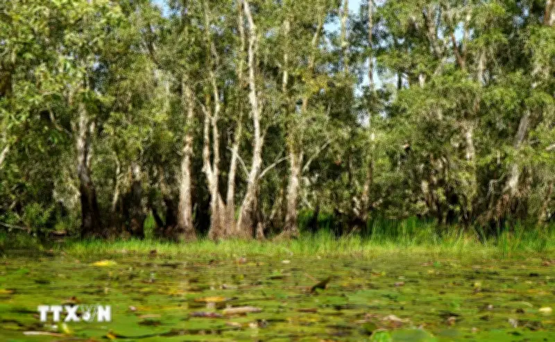 Hồi Sinh Hệ Sinh Thái Đất Ngập Nước Bền Vững Ở Vườn Quốc Gia Tràm Chim