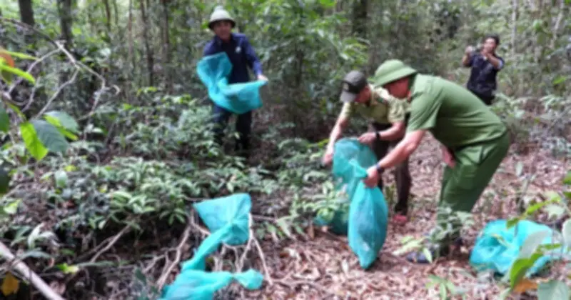 Hồi sinh động vật hoang dã: Hành trình từ lồng nhốt đến rừng nguyên sinh