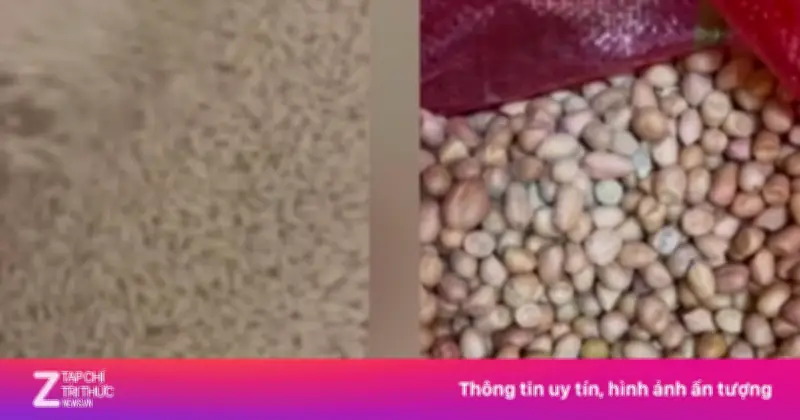 Hiệu Trưởng Mầm Non Đội Cấn Bị Đình Chỉ Vì Lạc Mốc Và Nghi Vấn Gian Lận Thực Phẩm