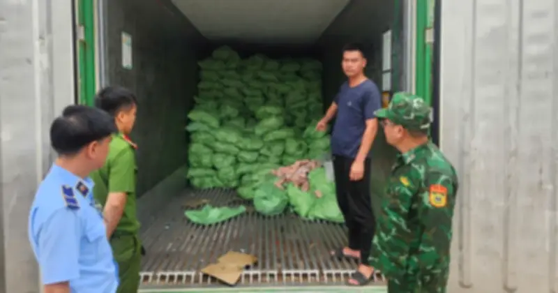 Hơn 1 tấn lòng lợn thối, 25,8 tấn thực phẩm đông lạnh không rõ nguồn gốc bị thu giữ