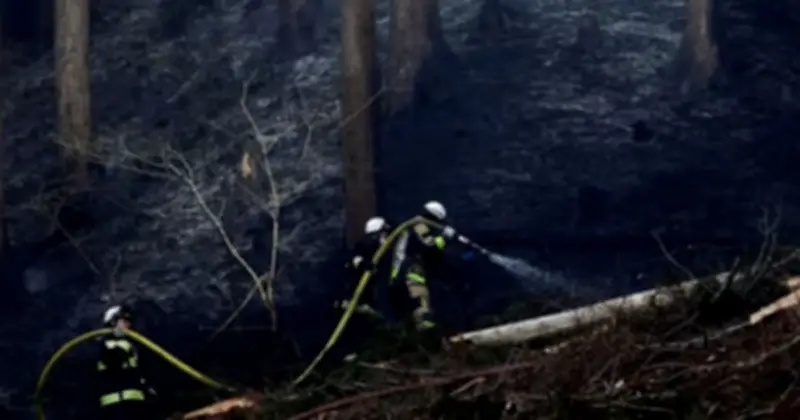 Hơn 1.000 lính cứu hỏa Nhật Bản chống cháy rừng, 3.200 người sơ tán