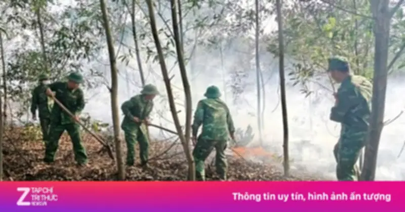 Hơn 1,5 ha rừng tràm phòng hộ ven biển Quảng Trị bị thiêu rụi trong nắng nóng