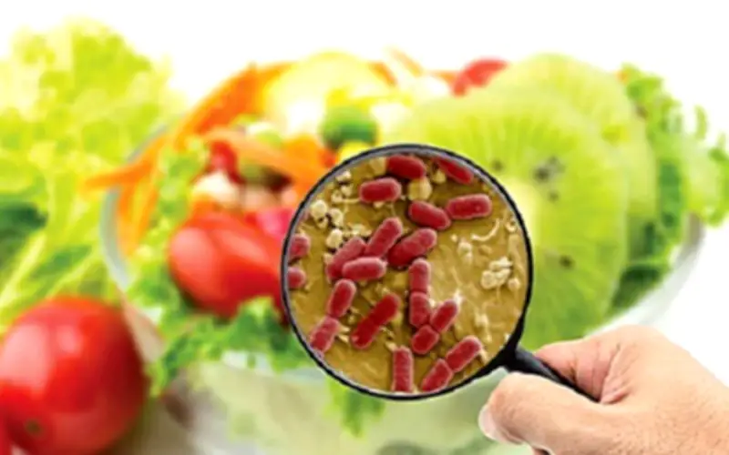Hơn 40 học sinh Cà Mau nghi ngộ độc thực phẩm sau bữa ăn miễn phí