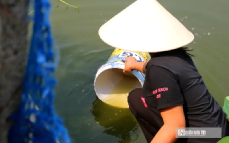 Hơn 500 hộ dân Nghệ An khốn đốn vì mất nước sạch kéo dài hơn một tháng