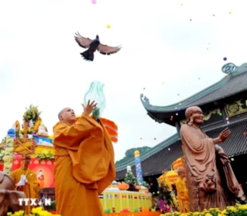 Hướng dẫn tổ chức Đại lễ Phật đản 2026: Phát lịch và quy định mới