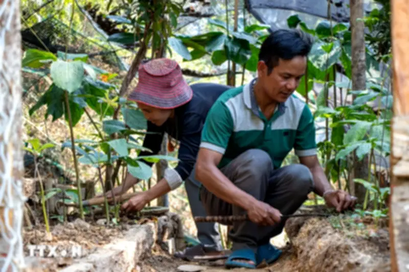 Hướng đi xanh từ phát triển kinh tế dưới tán rừng