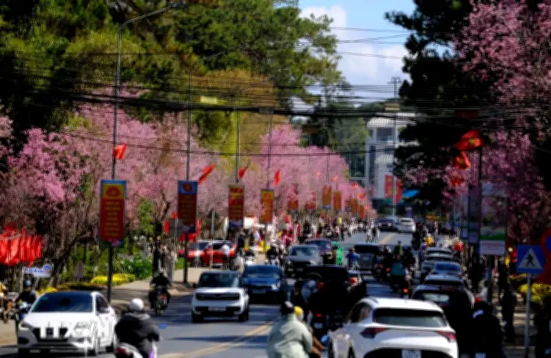 Hàng loạt đô thị Lâm Đồng thăng hạng sau sắp xếp đơn vị hành chính