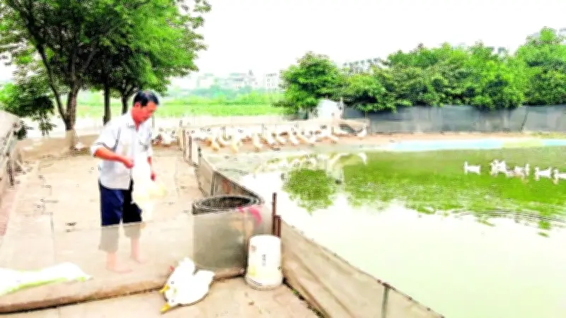 Hưng Yên và Quảng Ninh tăng cường hậu kiểm an toàn thực phẩm, xử lý nhiều vi phạm