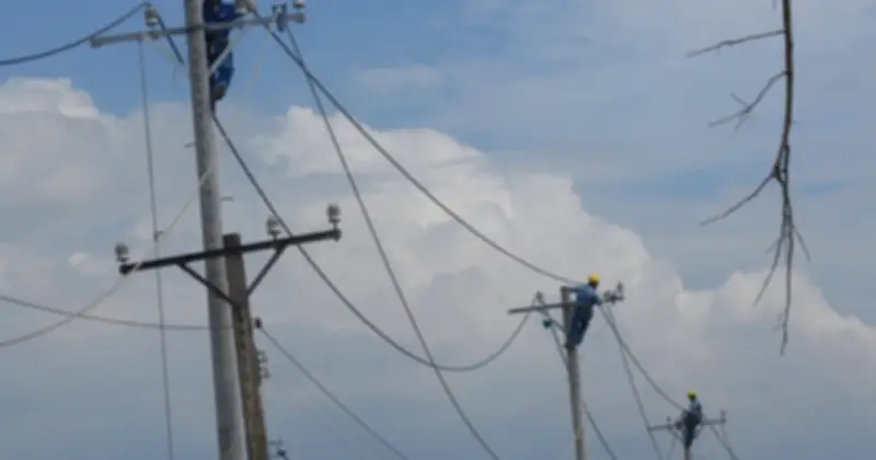 Hành Trình 50 Năm Ánh Sáng: Từ Đèn Dầu Đến Thành Phố Rực Rỡ Của EVNHCMC