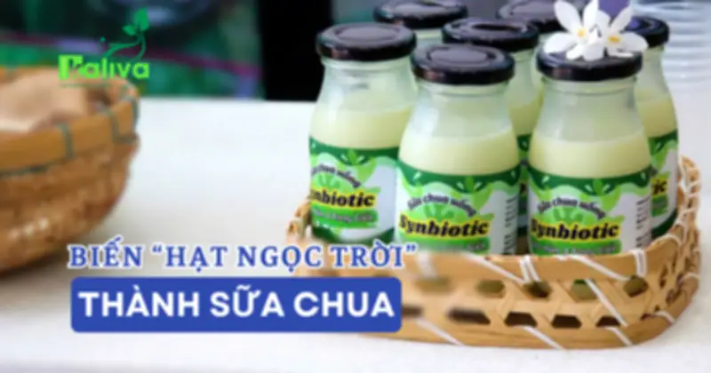 Hành trình biến cháo thành sữa chua: Nhóm sinh viên giành giải Nhất với dự án sữa chua gạo lên men