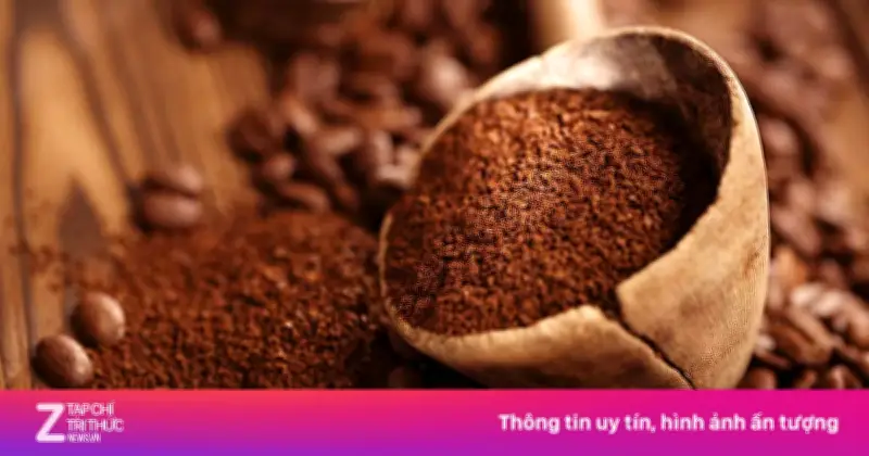 Hành Trình Khám Phá Cà Phê: Từ Hạt Lương Khô Đến Thức Uống Toàn Cầu