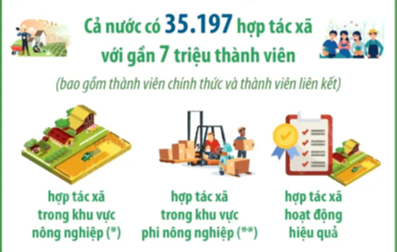 Hợp tác xã Việt Nam phát triển mạnh với 35.197 đơn vị và gần 7 triệu thành viên