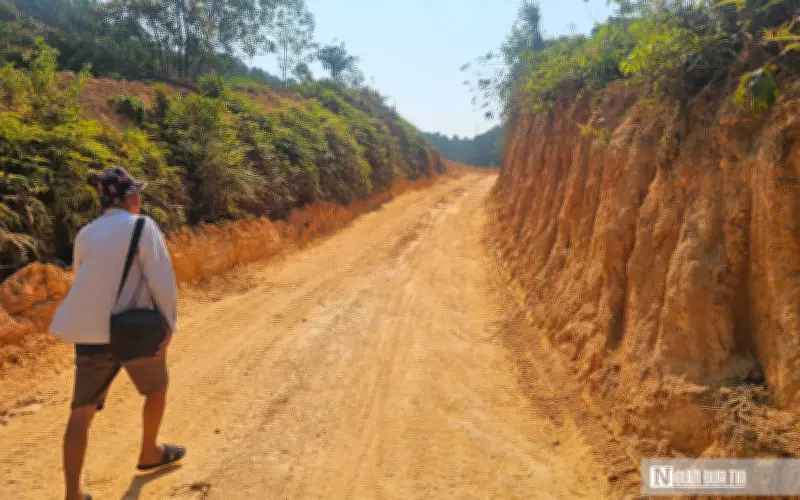 Huế: Phát hiện 5,2 ha rừng keo bị chặt trái phép, chưa có hồ sơ pháp lý