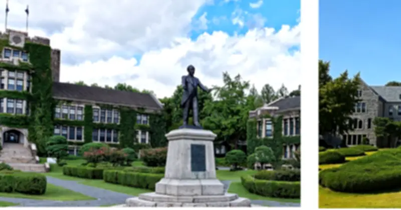 Đại học top đầu bị nghi ngờ sử dụng học giả nước ngoài để cải thiện thứ hạng