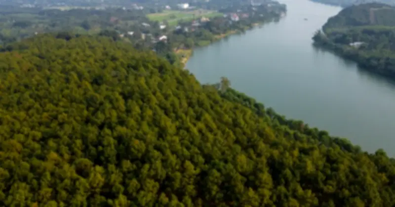 Đồi Vọng Cảnh Huế: 'Sợi Dây' Kết Nối Thế Hệ Với Vẻ Đẹp Tĩnh Lặng Và Lãng Mạn