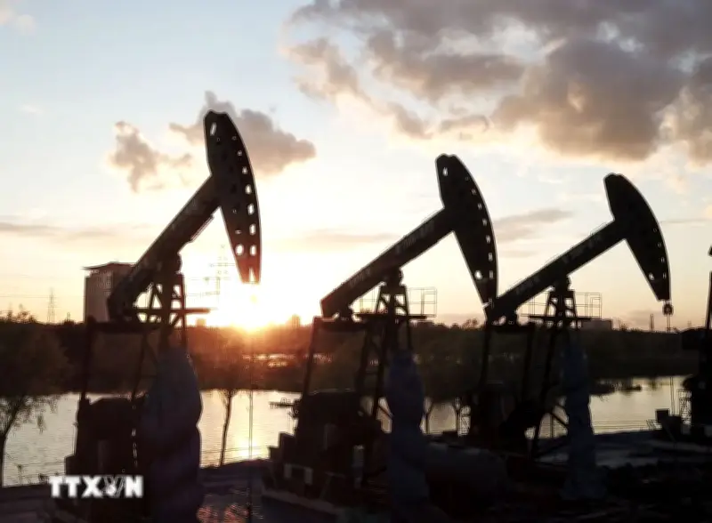 IEA cảnh báo: Nhu cầu dầu toàn cầu đối mặt đợt sụt giảm mạnh chưa từng có