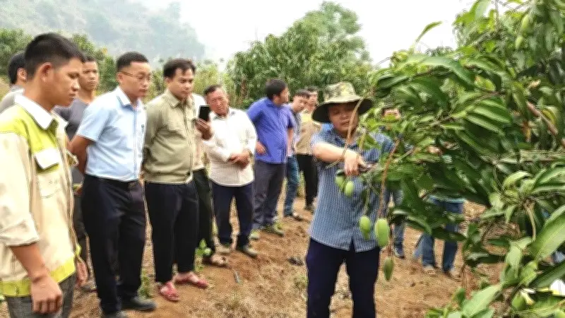 Điện Biên Biệt Phái 52 Cán Bộ Về Xã, Đạt Hiệu Quả Cao Trong Hỗ Trợ Cơ Sở
