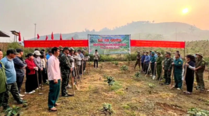 Điện Biên: Bùng nổ phong trào trồng cà phê, mắc ca vượt chỉ tiêu tỉnh giao