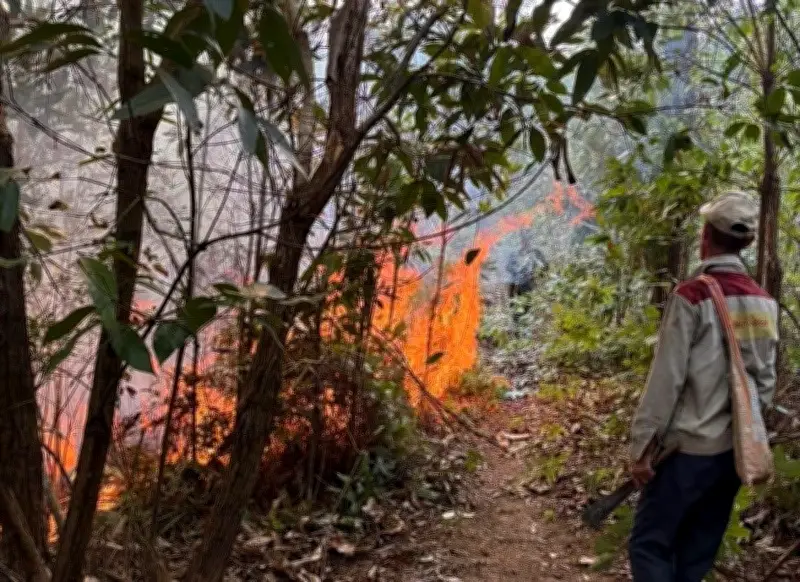 Điện Biên Cấm Đốt Thực Bì Một Tháng, Tăng Cường Phòng Chống Cháy Rừng Trong Mùa Nắng Nóng