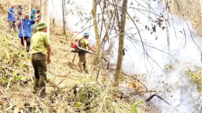 Điện Biên: Hơn 2.500 điểm nghi cháy rừng, 13 vụ thực tế gây thiệt hại 4ha