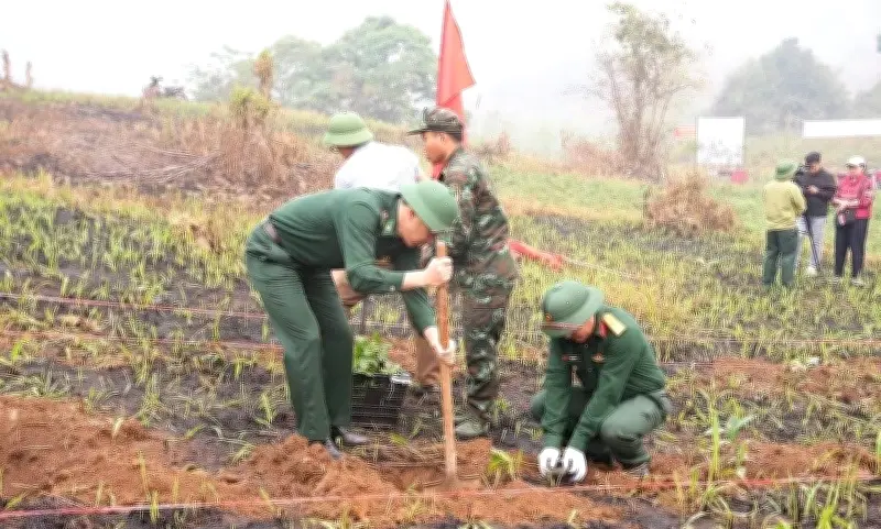 Điện Biên Thành Lập Ban Chỉ Đạo Chiến Dịch Nông Nghiệp Và Kinh Tế Tầm Thấp
