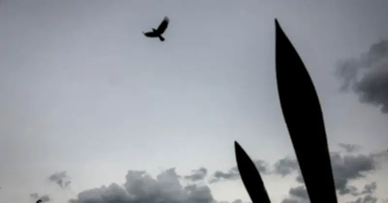 Iran từ chối ngừng bắn 48h, Mỹ tăng cường tìm kiếm phi công trên máy bay bị bắn hạ