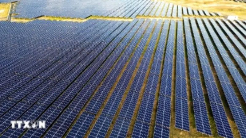 Iraq khởi động dự án điện mặt trời lớn nhất tại Basra, hướng tới năng lượng sạch