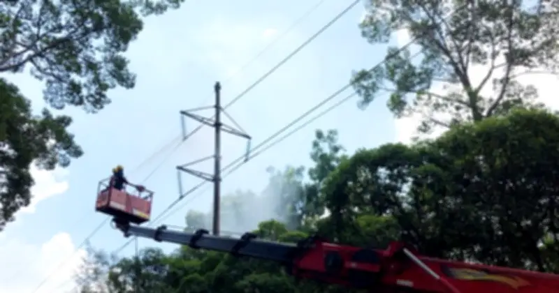 Ký ức ánh điện và hành trình 50 năm ngành điện TP.HCM