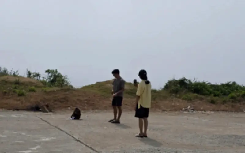 Đắk Lắk: 5 du khách bị khỉ hoang tấn công trên đường ven biển