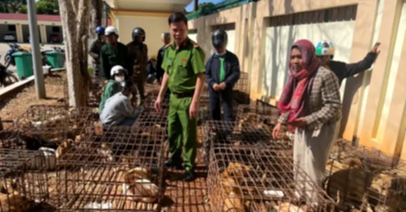 Đắk Lắk: Bắt tạm giam hai đối tượng trộm chó với 70 con vật bị phát hiện