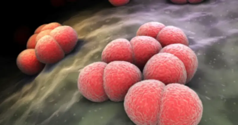 Đắk Lắk ghi nhận 2 ca viêm não mô cầu, 1 trẻ tử vong chưa tiêm vắc xin