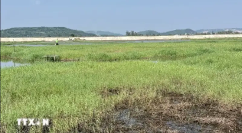 Đắk Lắk đẩy nhanh tiến độ hoàn thiện các công trình thủy lợi phục vụ sản xuất