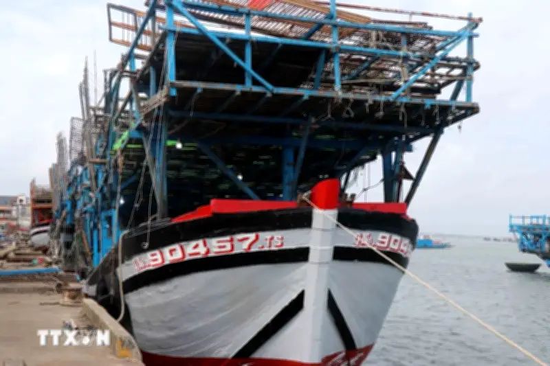 Khắc phục thẻ vàng IUU: Đà Nẵng hoàn thành đầy đủ các khuyến nghị của EC