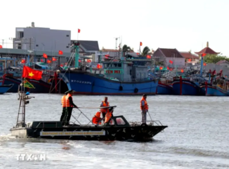 Khắc phục thẻ vàng IUU: Số hóa quản lý tàu cá, siết chặt truy xuất nguồn gốc