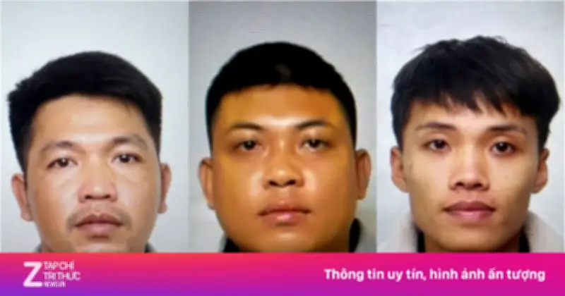 Khởi tố nhóm đối tượng trộm cắp dây cáp điện chiếu sáng tại Ninh Bình