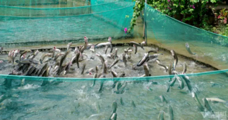 Khám Phá 6 Điểm Đến Hoang Sơ, Tránh Đám Đông Dịp Lễ 30/4-1/5 Tại Miền Nam