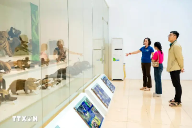 Khám phá bảo tàng xanh giữa lòng Vườn Quốc gia Cúc Phương