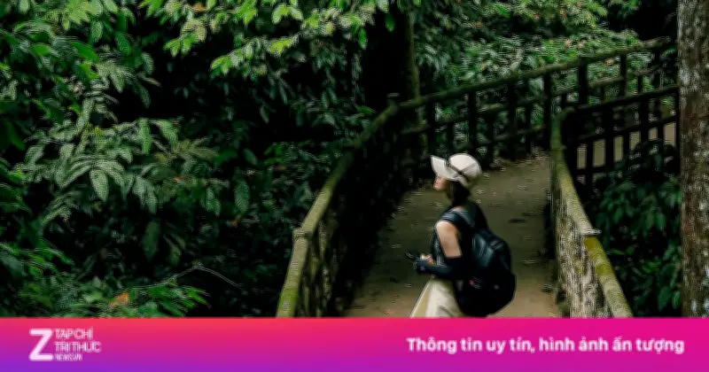 Khám phá vẻ đẹp nguyên sơ bị lãng quên tại Vườn quốc gia Cúc Phương