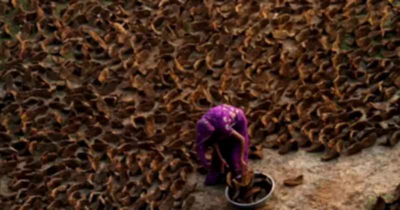 Khủng hoảng khí đốt ở Ấn Độ: Từ thành phố đến nông thôn, người dân quay về phương pháp nấu ăn cổ xưa