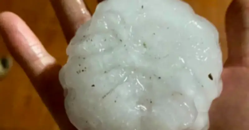 Không khí lạnh tràn về, Bắc Bộ và Bắc Trung Bộ đối mặt nguy cơ mưa đá, gió giật mạnh