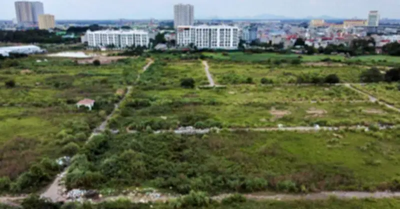 Không tách thửa, chuyển mục đích sử dụng đất: Cần làm gì để đúng luật?