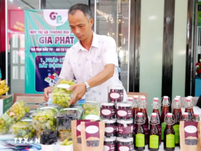 Khánh Hòa Đa Dạng Sản Phẩm Từ Nghề Trồng Nho Để Hút Khách Du Lịch