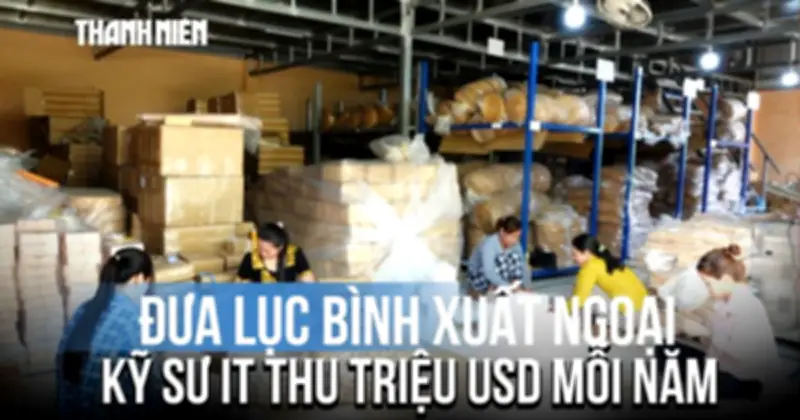 Khoác áo mới đưa lục bình xuất ngoại: Kỳ sứ IT Cần Thơ thu triệu USD mỗi năm